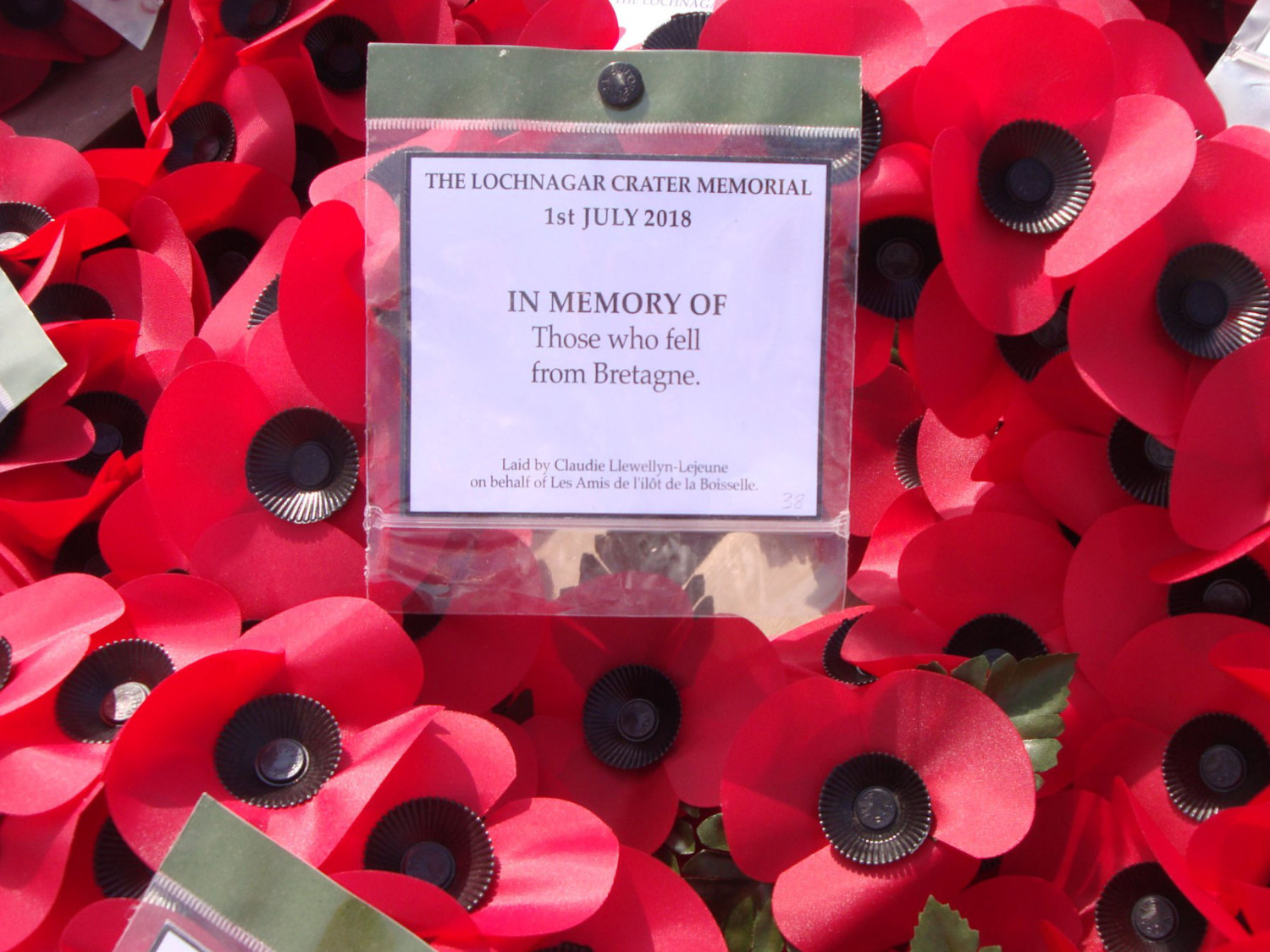 Couronne de coquelicot en l'honneur des soldats bretons